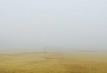 谷歌Gemini重磅更新：全新Gemini 3.1 Pro震撼发布，AI能力再创新高！-心海漪澜